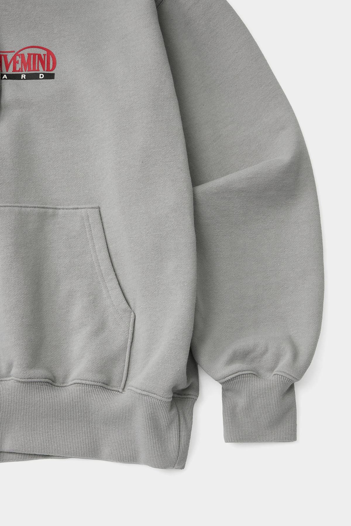 DMT STANDARD HOODIE SILVER GREY (Delivery date : 26.09.28)