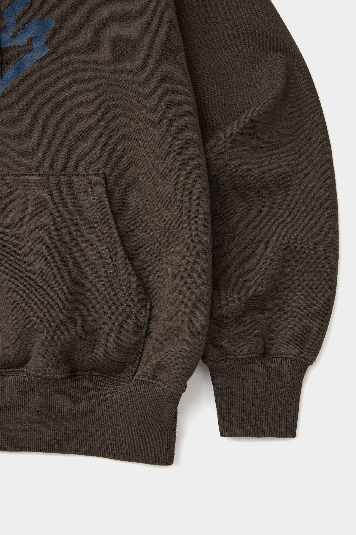 POWERED BY NSS HOODIE BROWN (Delivery date : 26.09.28)