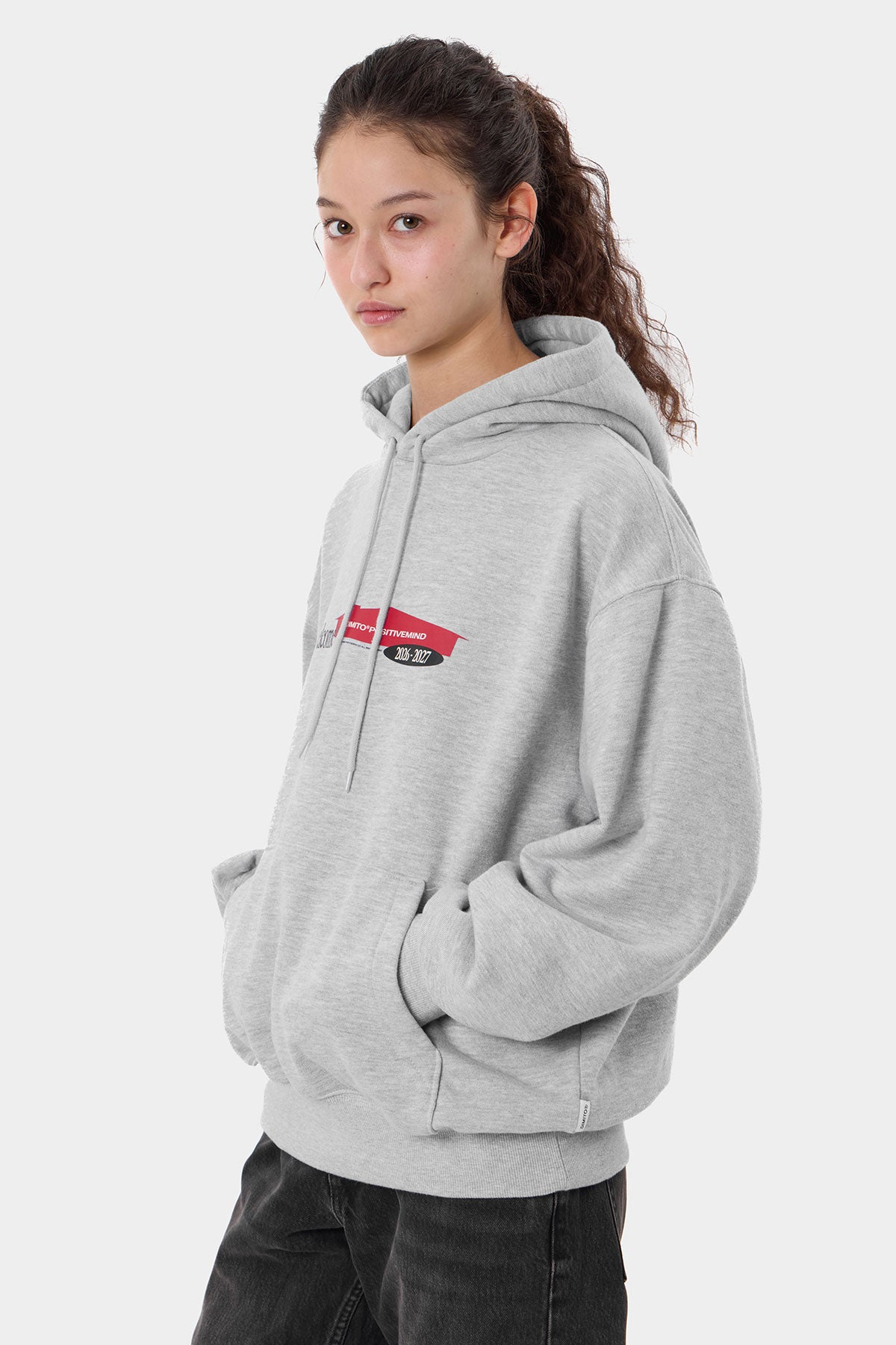 DMT HOUSE HOODIE MELANGE GREY