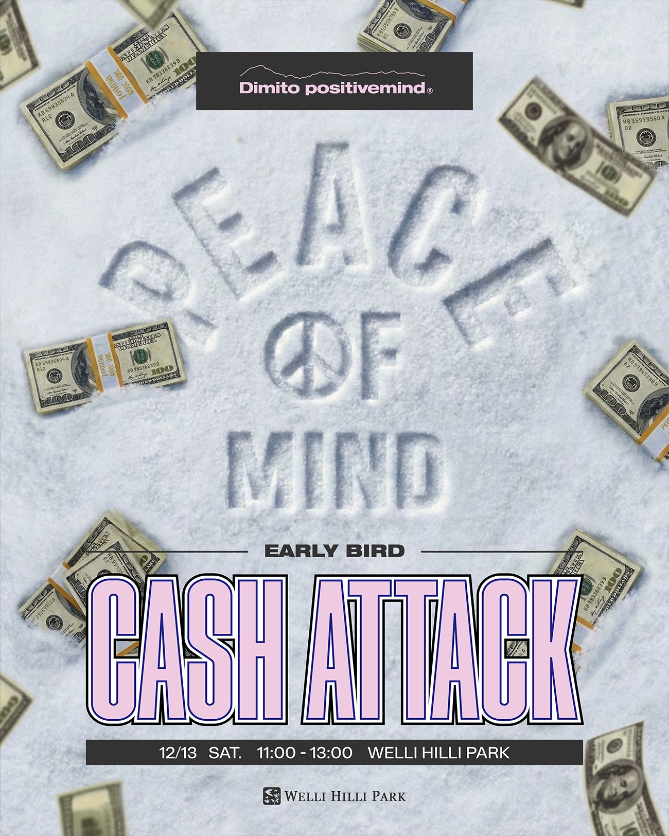 <br><b>[PEACE OF MIND CASH ATTACK]</b>