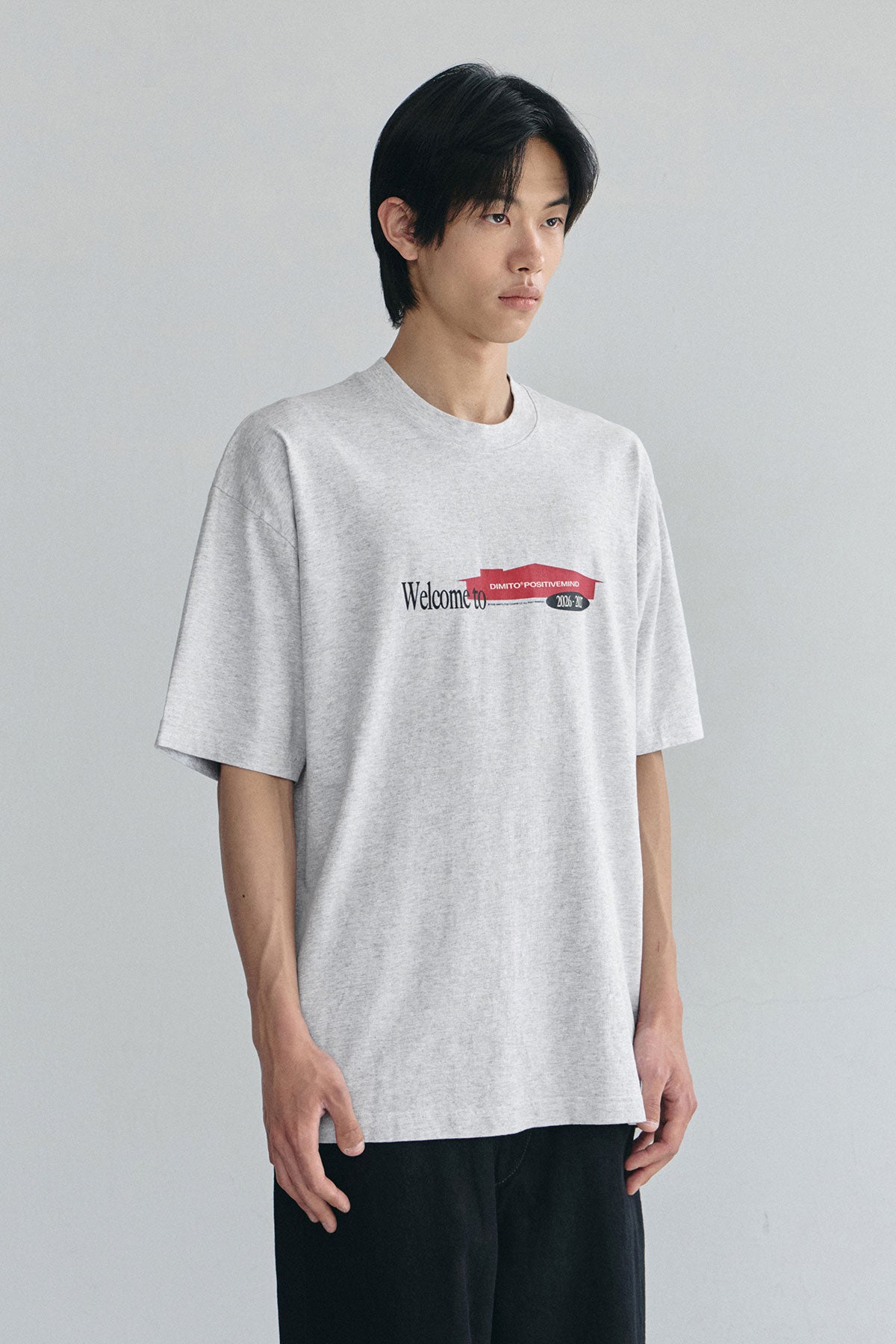 VERT DMT HOUSE SSV GD 6.5OZ TEE ASH (Available on 26.05.07)