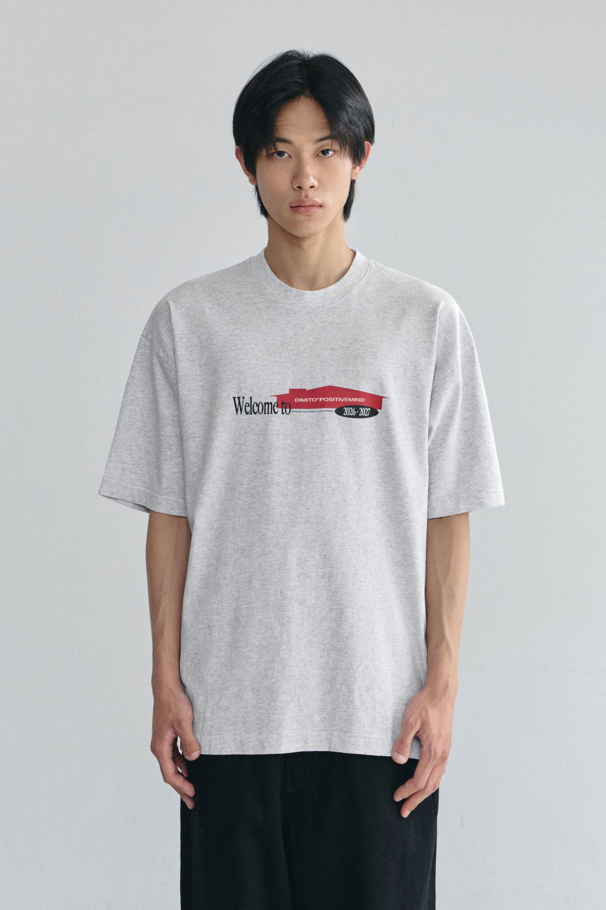 VERT DMT HOUSE SSV GD 6.5OZ TEE ASH (Available on 26.05.07)
