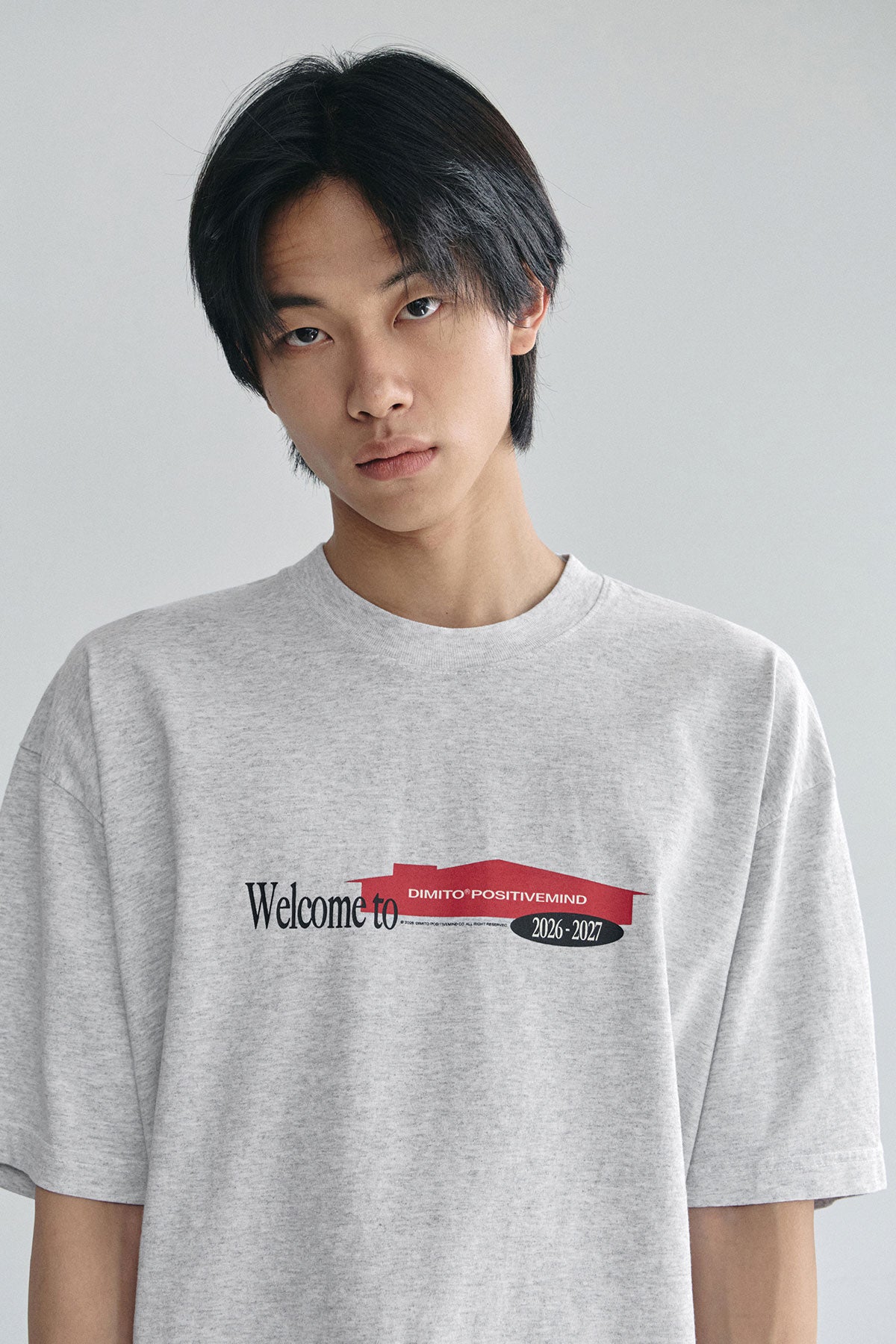VERT DMT HOUSE SSV GD 6.5OZ TEE ASH (Available on 26.05.07)