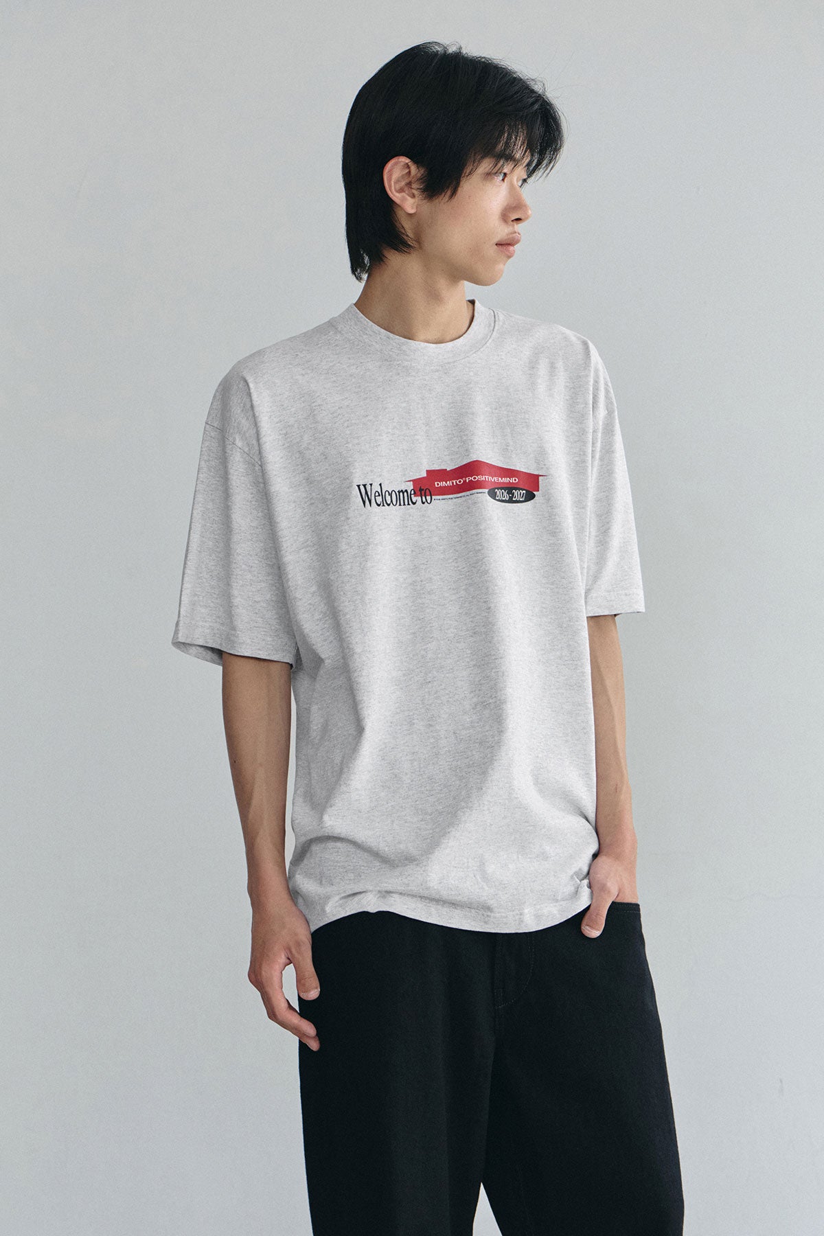 VERT DMT HOUSE SSV GD 6.5OZ TEE ASH (Available on 26.05.07)