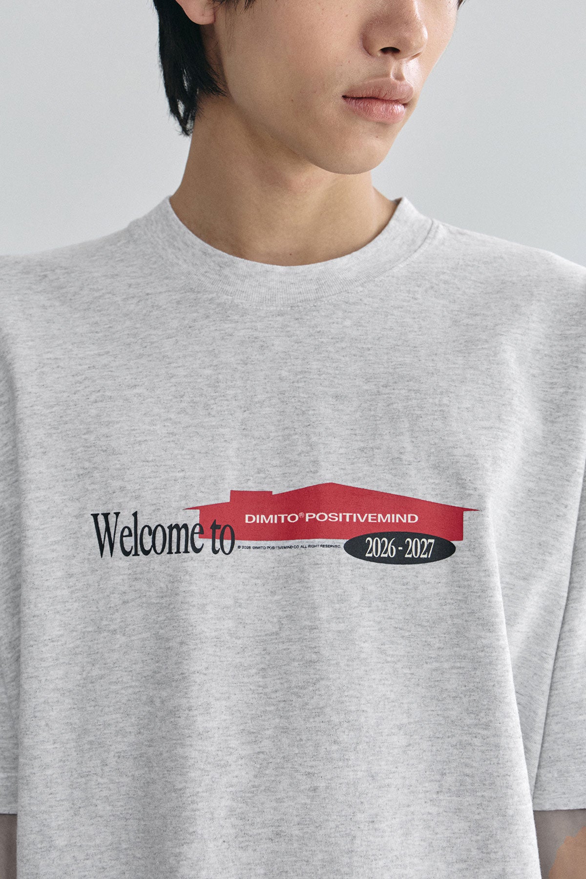 VERT DMT HOUSE SSV GD 6.5OZ TEE ASH (Available on 26.05.07)