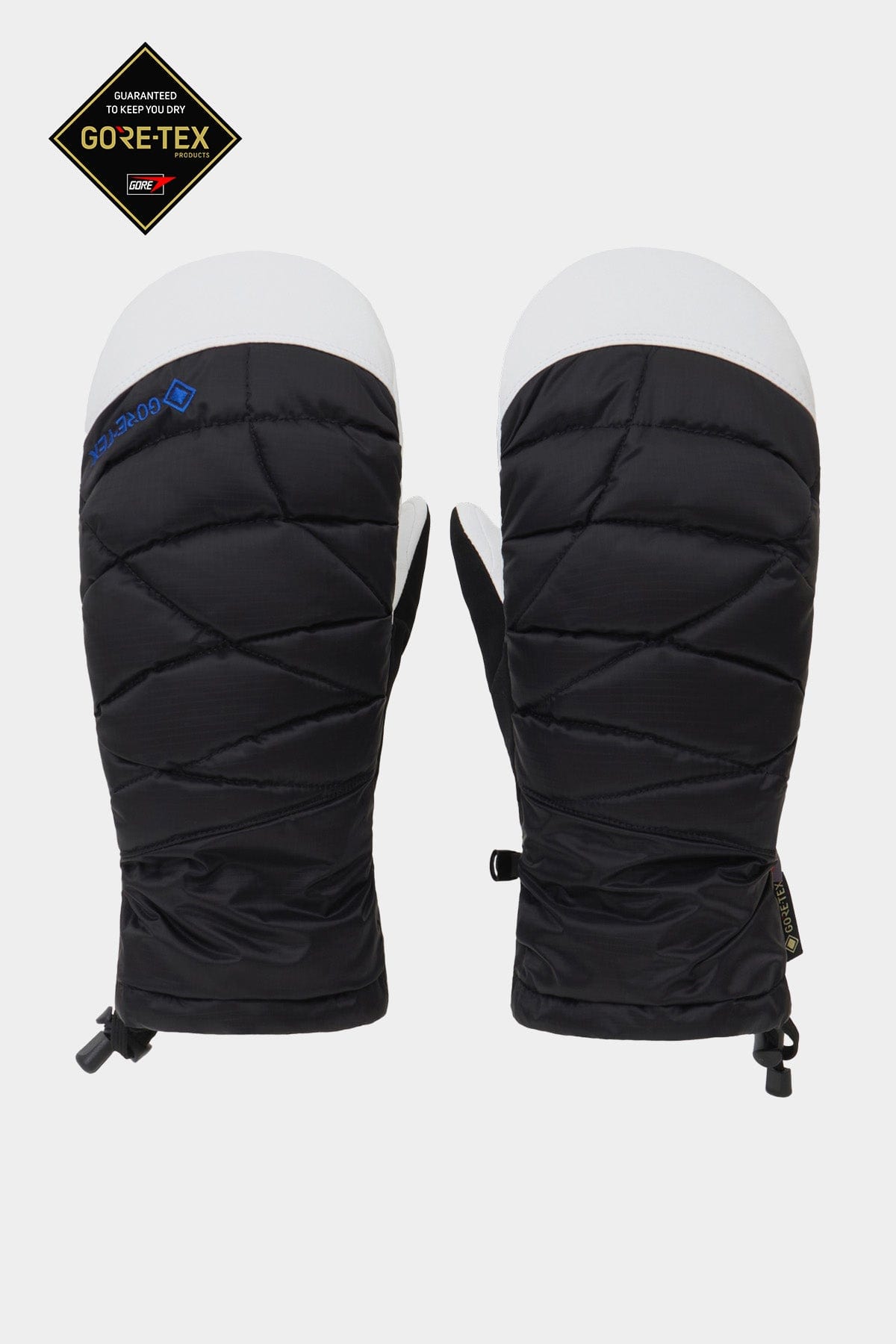 [PROMO] GORE-TEX DOWN MITTEN BLACK