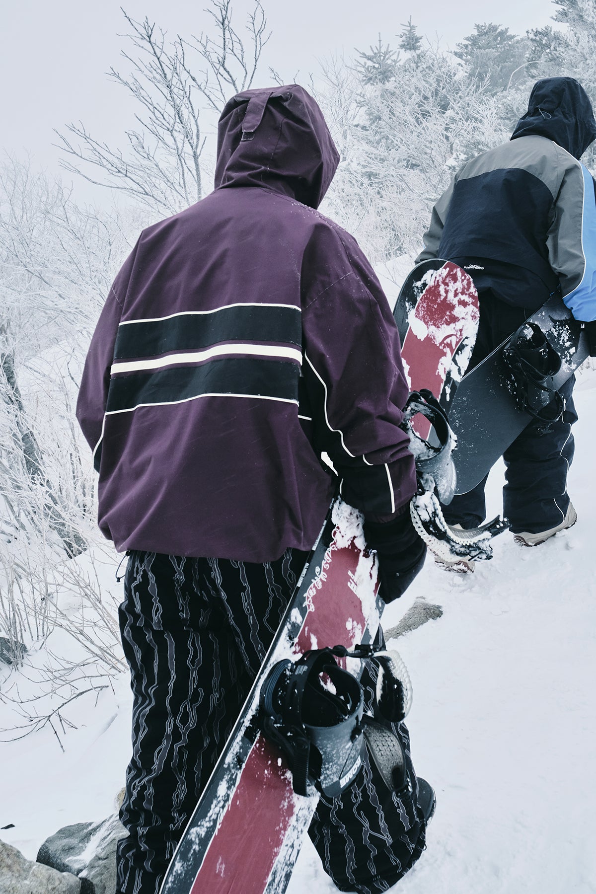 VERT LINE WIND JACKET WINE